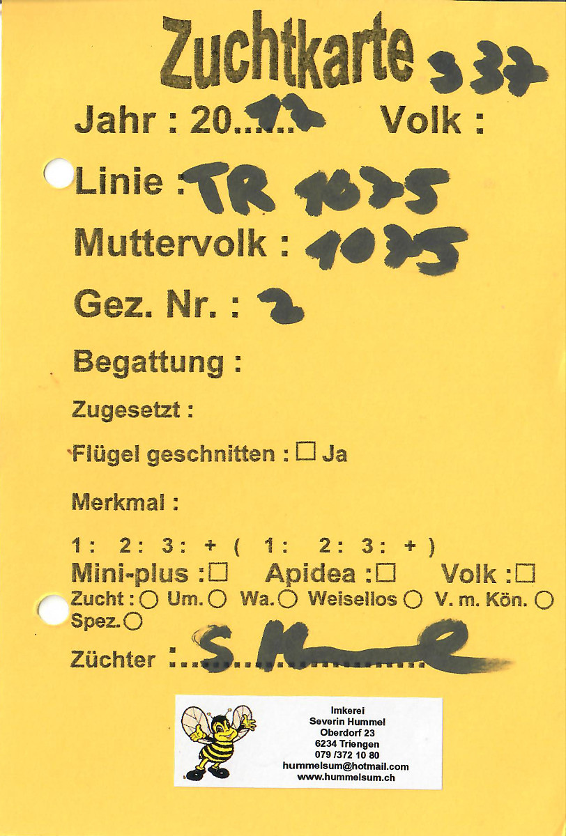 Zuchtkarte Carnica Nr. 2, Linie TR1075 (Severin Hummel)